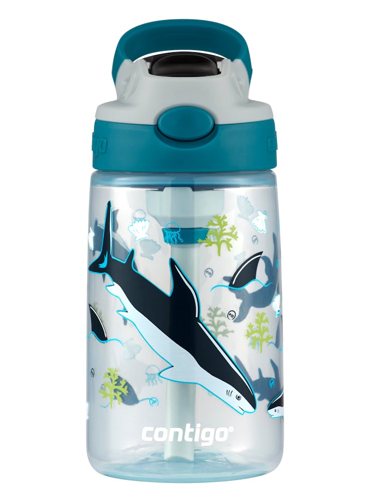 Contigo® Kids Straw Water Bottle with AUTOSPOUT® Lid, 14oz kSLA
